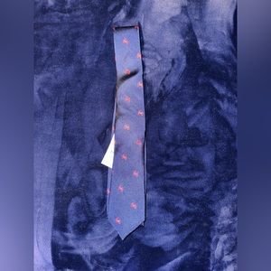 J Crew Tie